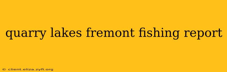 quarry lakes fremont fishing report