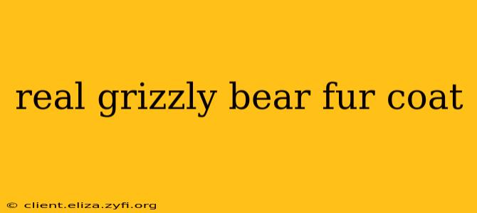 real grizzly bear fur coat