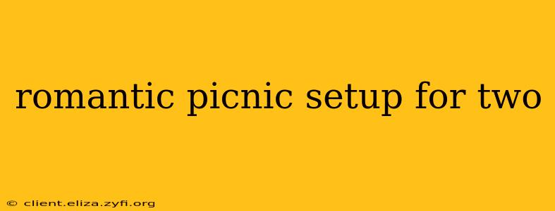 romantic picnic setup for two