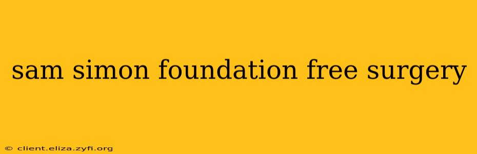 sam simon foundation free surgery
