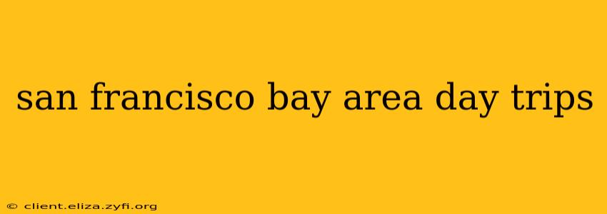 san francisco bay area day trips