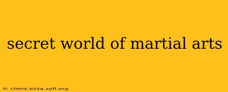 secret world of martial arts