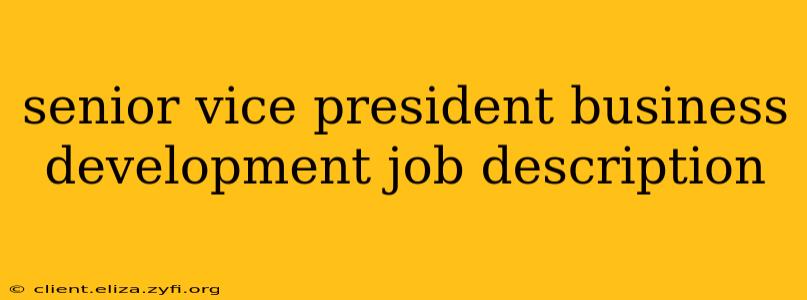 senior vice president business development job description