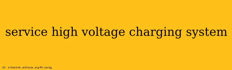service high voltage charging system