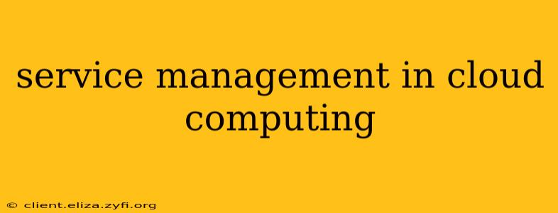service management in cloud computing