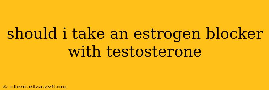 should i take an estrogen blocker with testosterone