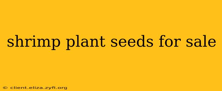 shrimp plant seeds for sale