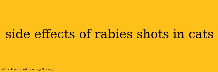 side effects of rabies shots in cats