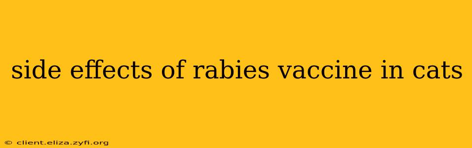 side effects of rabies vaccine in cats