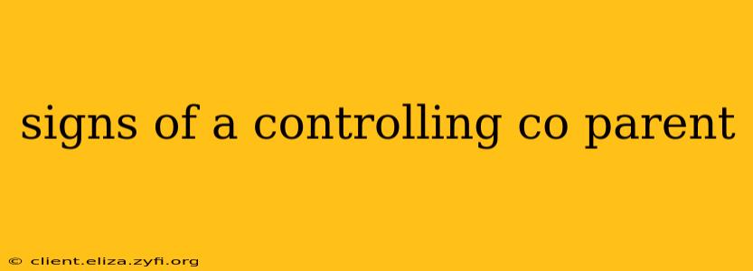 signs of a controlling co parent