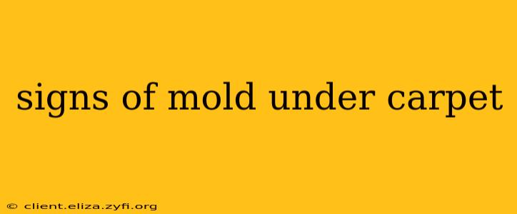 signs of mold under carpet