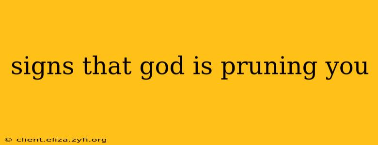 signs that god is pruning you