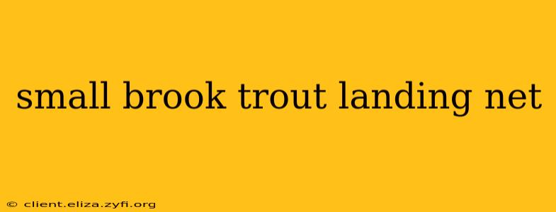 small brook trout landing net