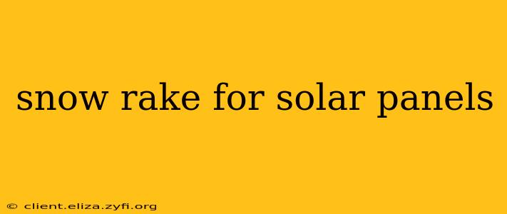 snow rake for solar panels
