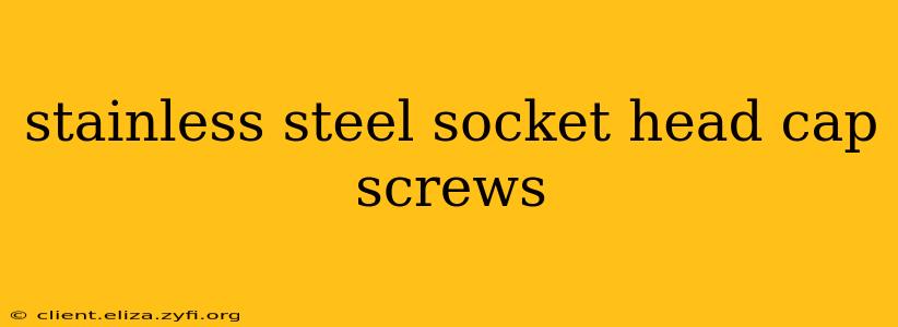 stainless steel socket head cap screws