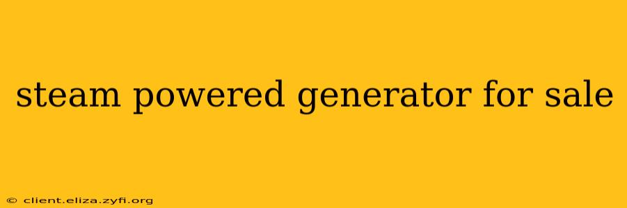 steam powered generator for sale