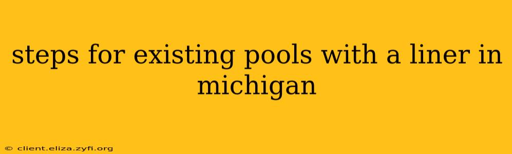 steps for existing pools with a liner in michigan