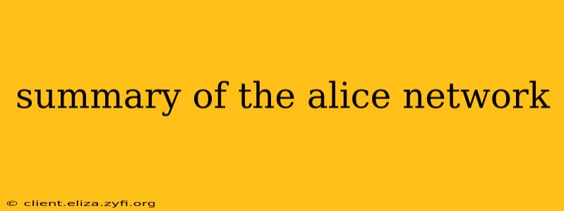 summary of the alice network