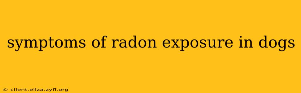 symptoms of radon exposure in dogs