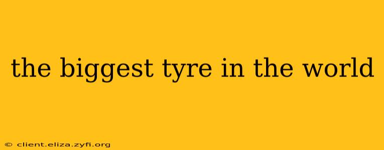 the biggest tyre in the world
