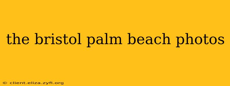 the bristol palm beach photos