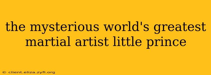the mysterious world's greatest martial artist little prince