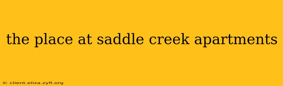 the place at saddle creek apartments