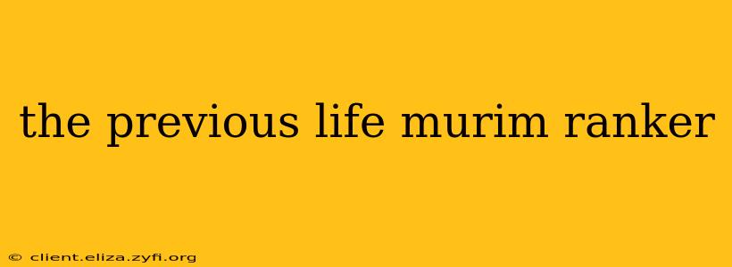the previous life murim ranker