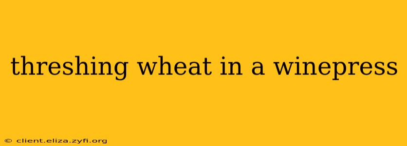 threshing wheat in a winepress