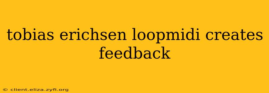 tobias erichsen loopmidi creates feedback