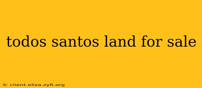todos santos land for sale