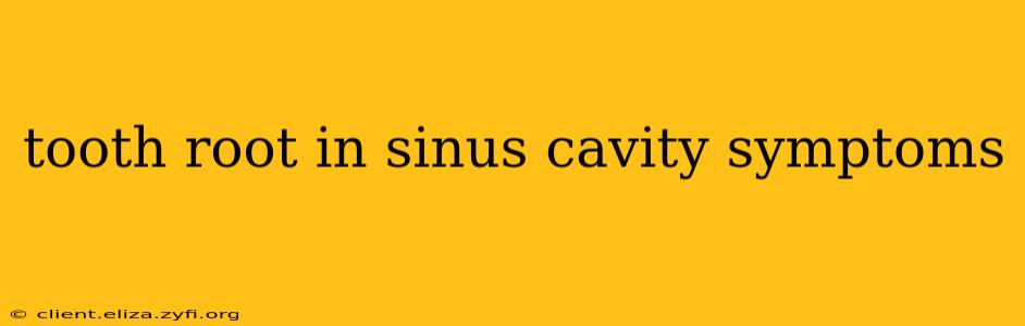 tooth root in sinus cavity symptoms