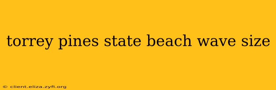 torrey pines state beach wave size