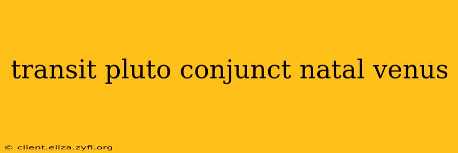 transit pluto conjunct natal venus