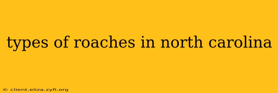 types of roaches in north carolina