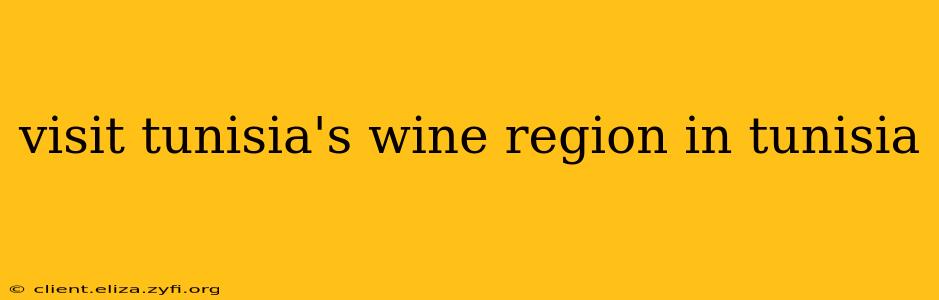 visit tunisia's wine region in tunisia