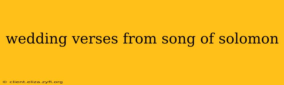 wedding verses from song of solomon