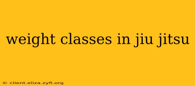 weight classes in jiu jitsu