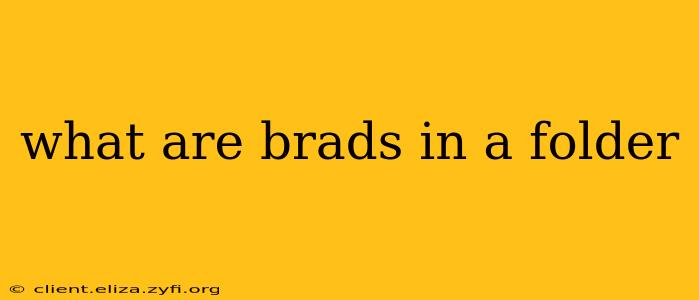 what are brads in a folder