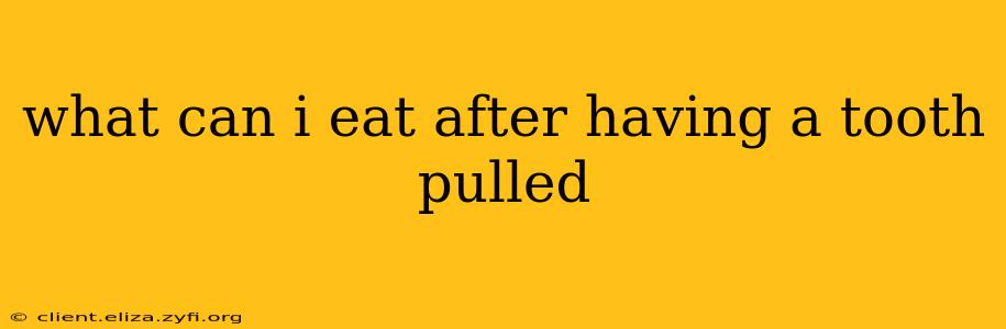 what can i eat after having a tooth pulled