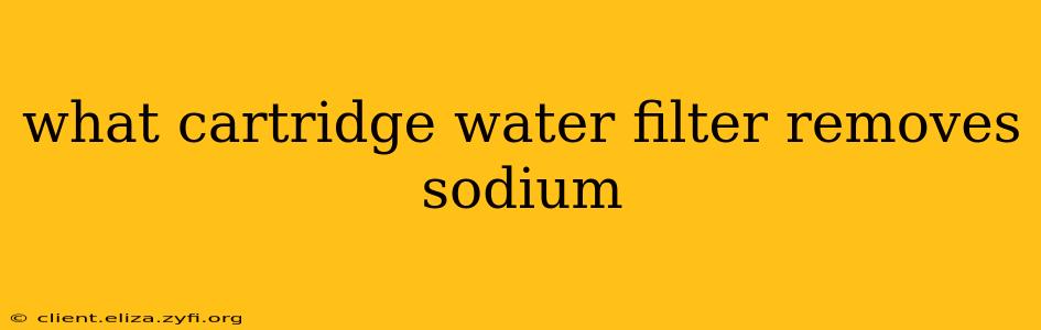 what cartridge water filter removes sodium