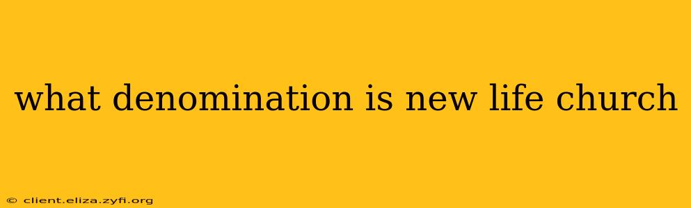 what denomination is new life church