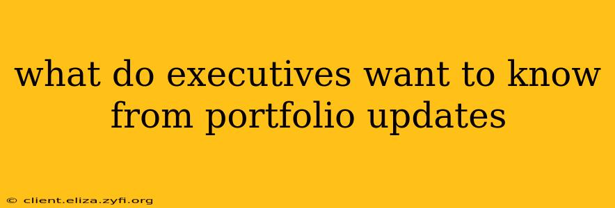 what do executives want to know from portfolio updates