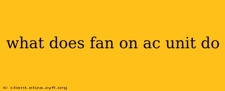 what does fan on ac unit do