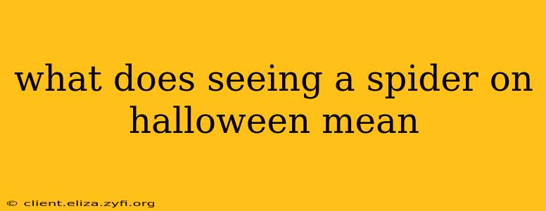 what does seeing a spider on halloween mean