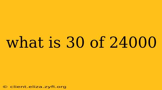 what is 30 of 24000