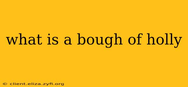 what is a bough of holly