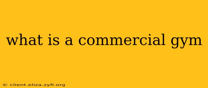 what is a commercial gym