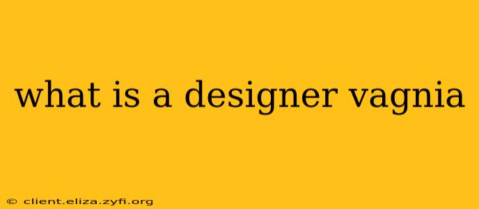 what is a designer vagnia what is a designer vagnia