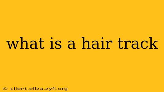 what is a hair track